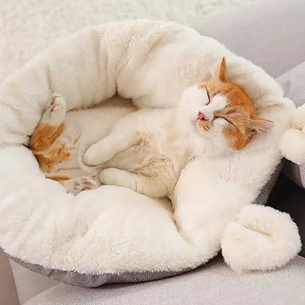 Comfy Cat Bed