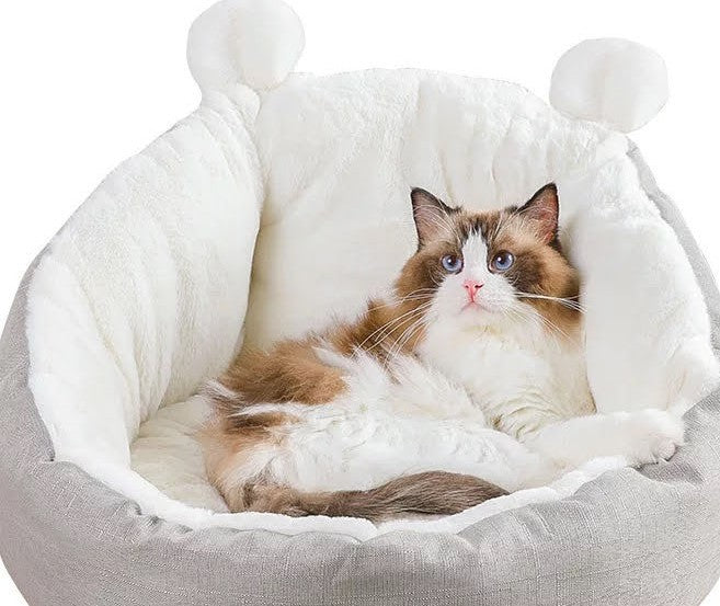 Comfy Cat Bed