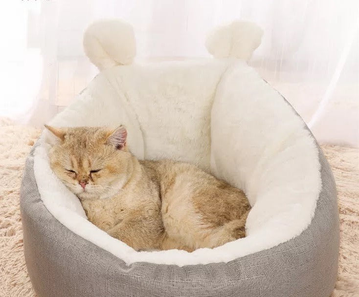 Comfy Cat Bed